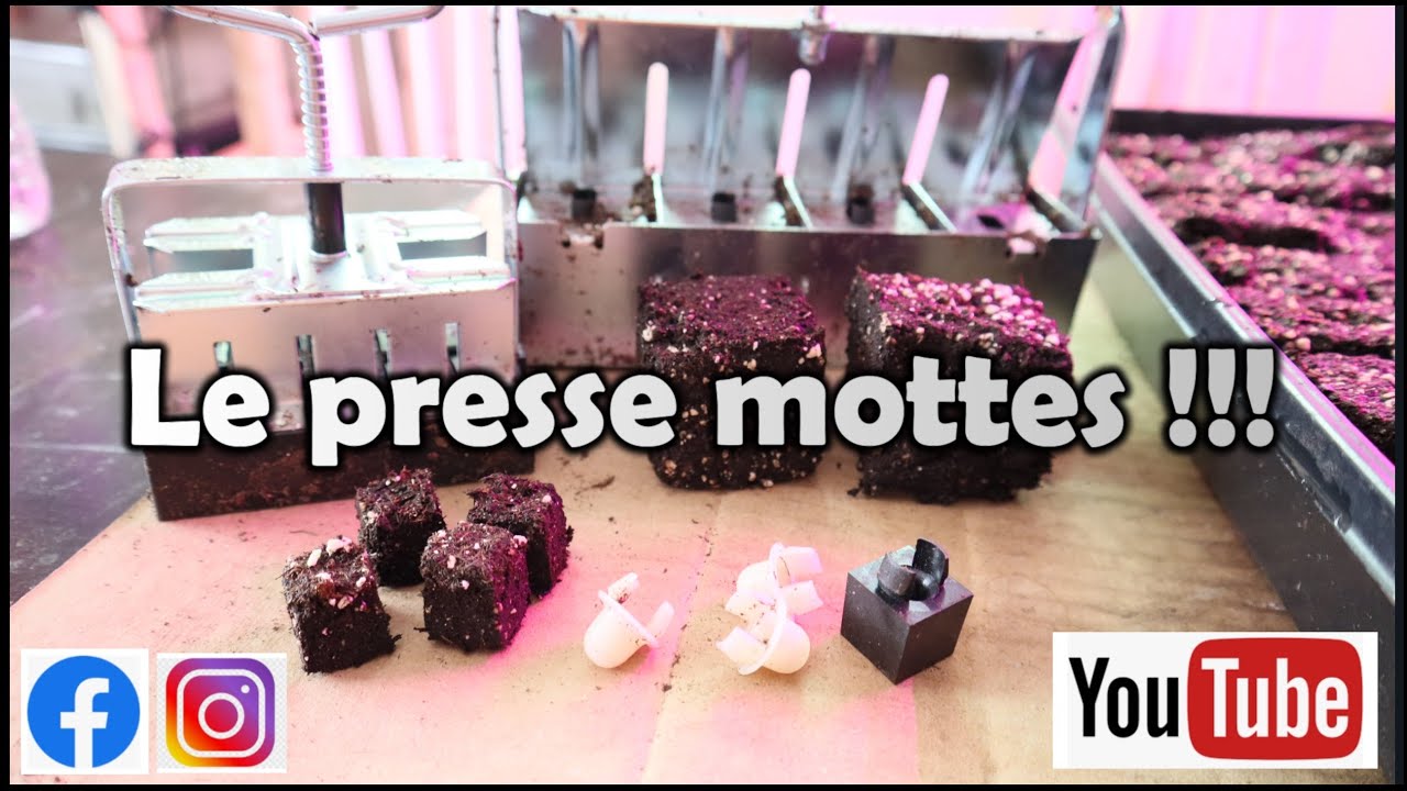 Presse-Mottes | Québec | Comment – Avantages – Inconvénients ainsi que mes commentaires! | et plus!