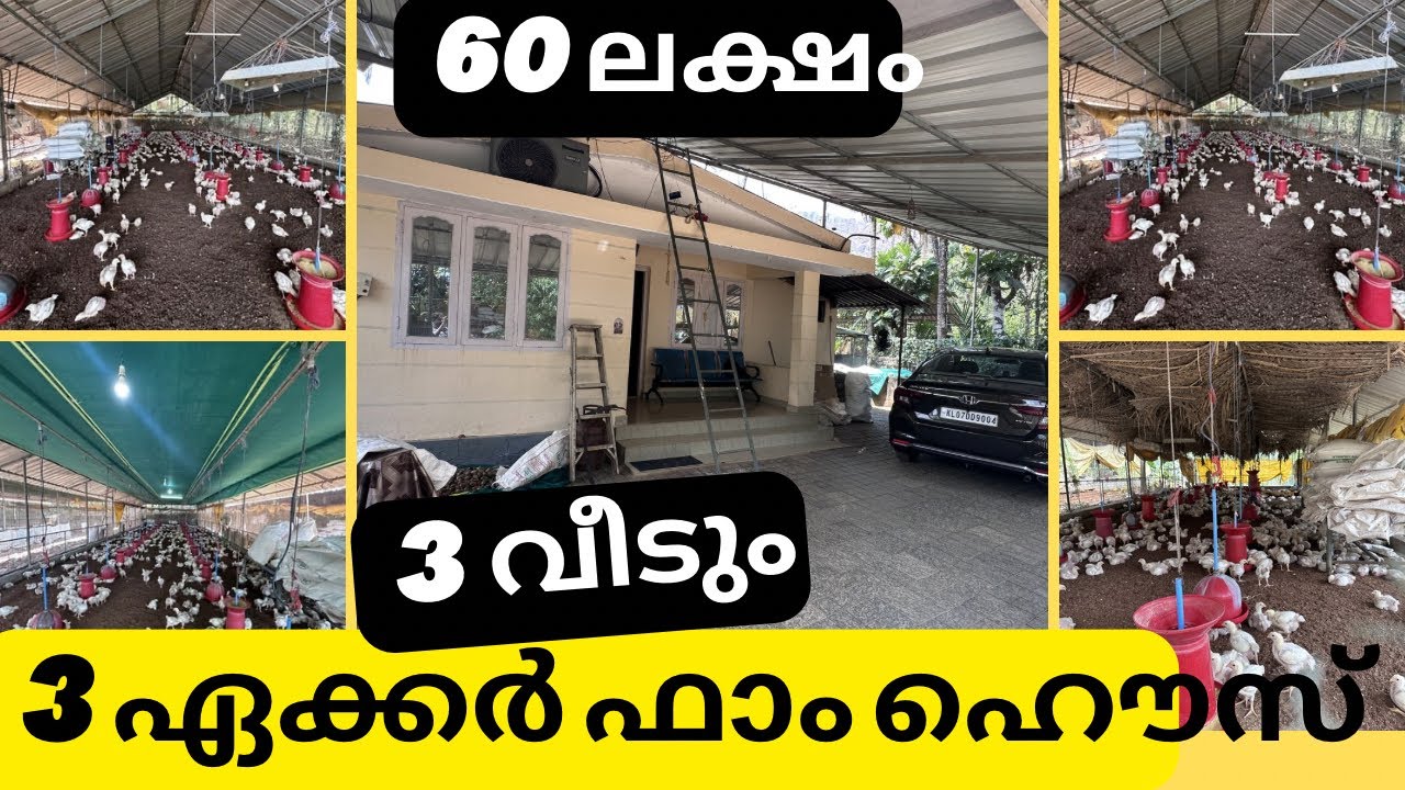 60 ലക്ഷം 3 ഏക്കർ Owner ഓസ്‌ട്രേലിയക്ക് പോകുന്നു 45 ദിവസം 5 ലക്ഷം വരുമാനം 