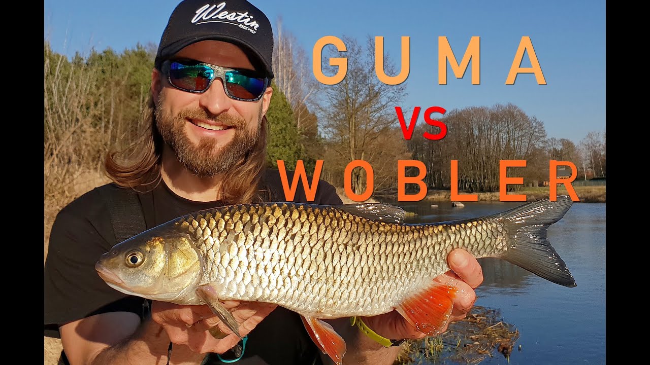 Łowienie Wiosennych Kleni - GUMA vs WOBLER