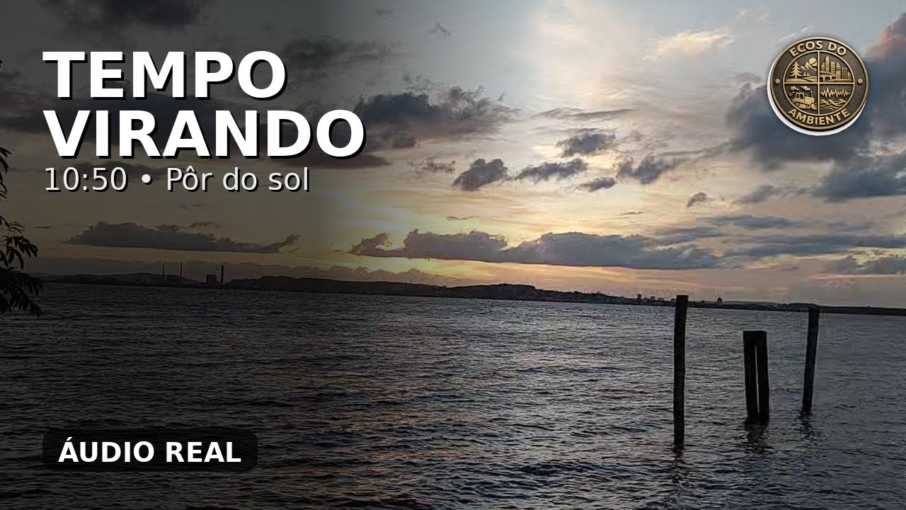 [10MIN50] Entardecer com vento moderado e nuvens (câmera fixa) | Som ambiente real