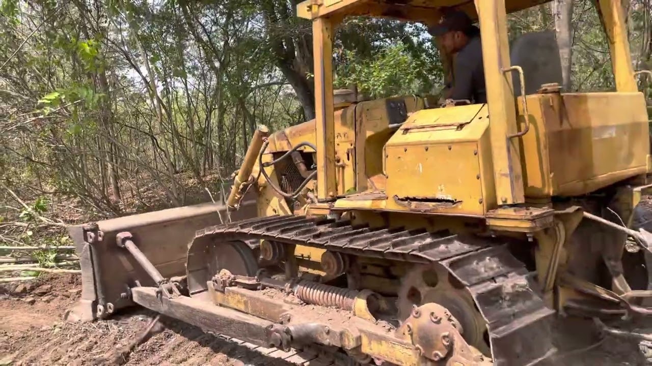 Cat Bulldozer Clearing Land For a new Driveway