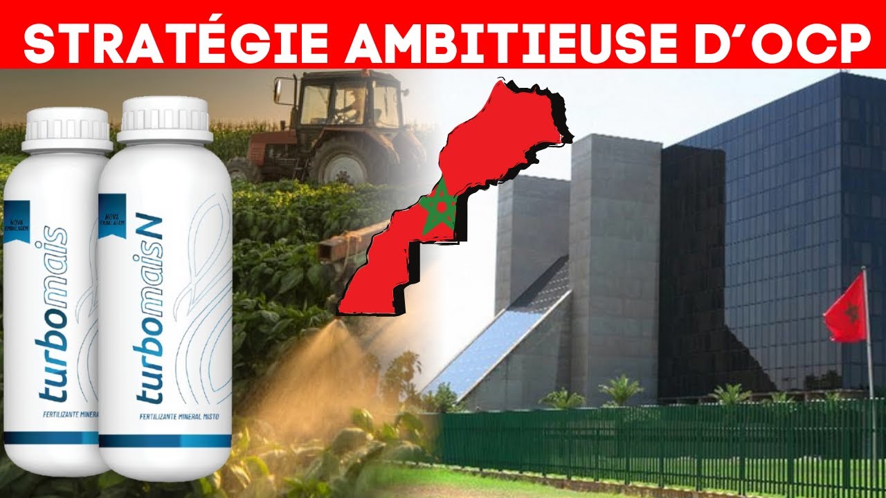 Décryptage: Nutricrops, La Nouvelle Filiale d'OCP Qui Veut Changer la Donne Dans l'Agriculture