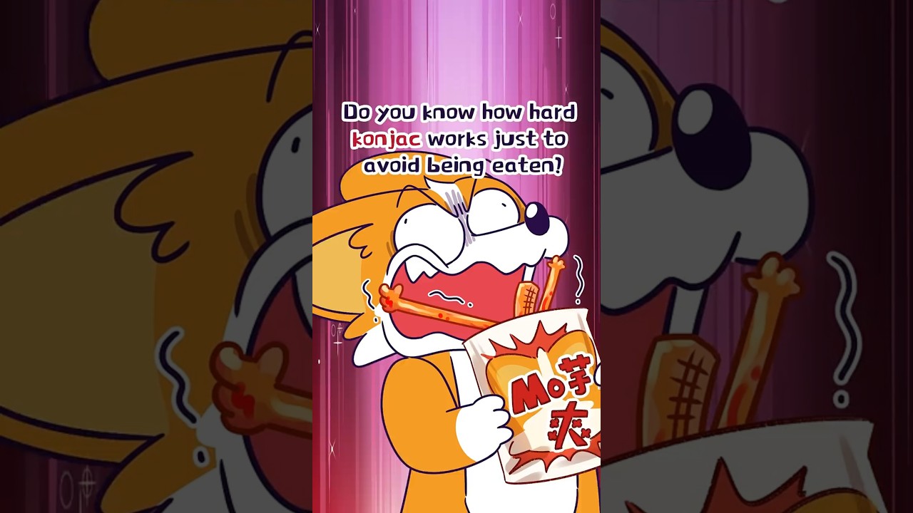 😋Do you know how hard konjac works just to avoid being eaten?