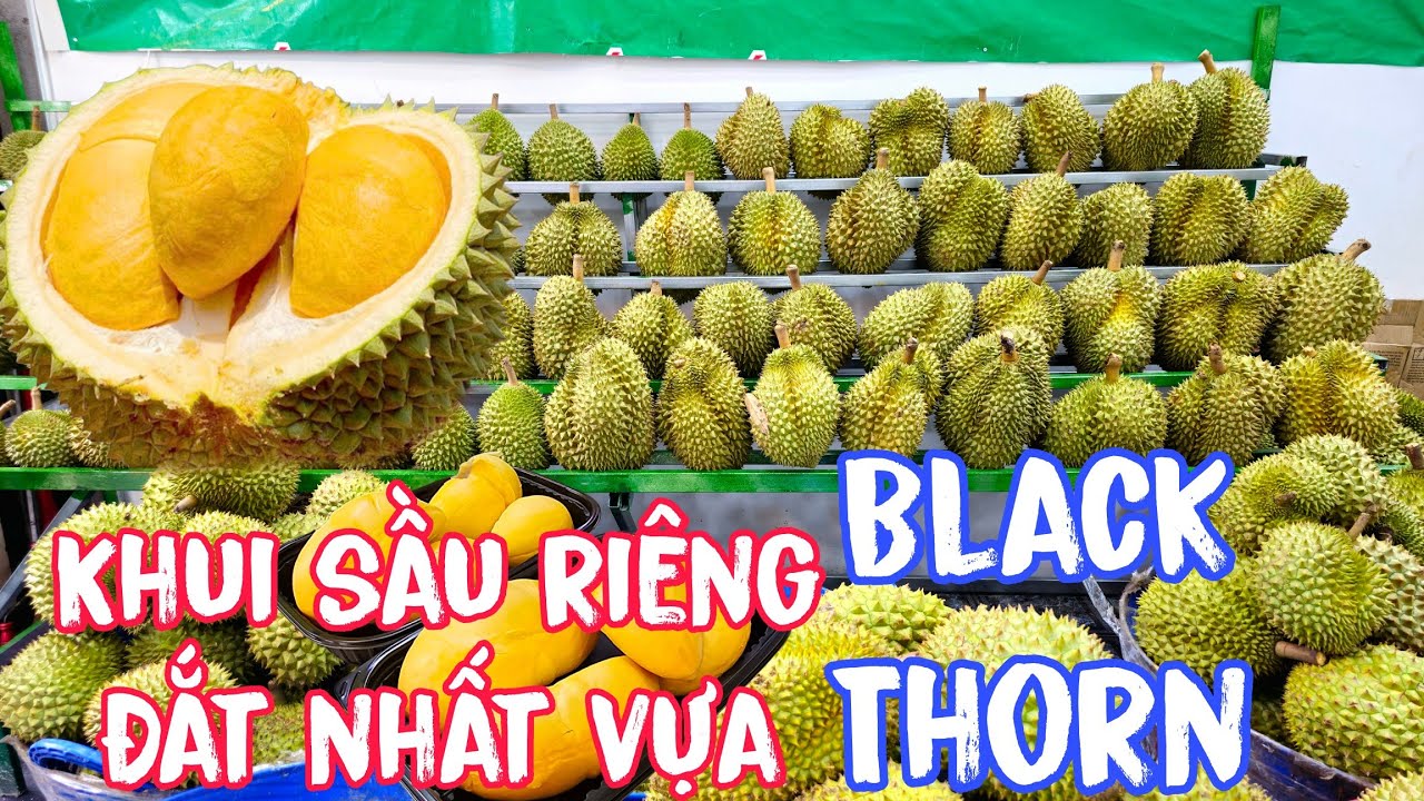Khui Hàng Loạt Sầu Riêng Black Thorn Đắt Nhất Vựa Cho Khách Thưởng Thức Tại Chỗ.