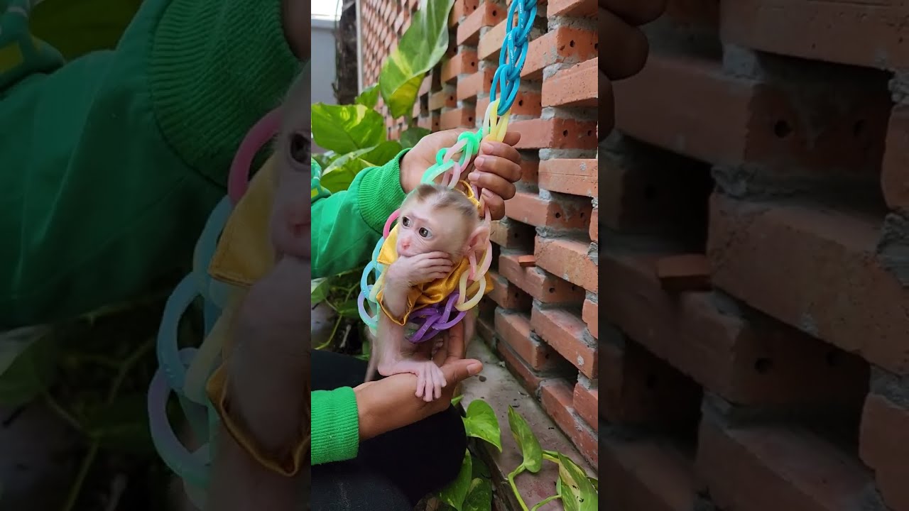Jody's big adventures: Exploring her world and making new friends