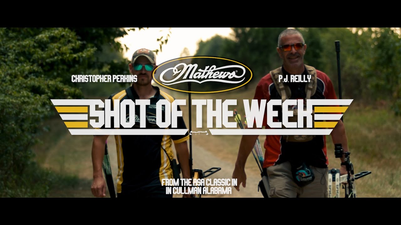 Выстрел недели по версии Mathews | Классика ASA 2022