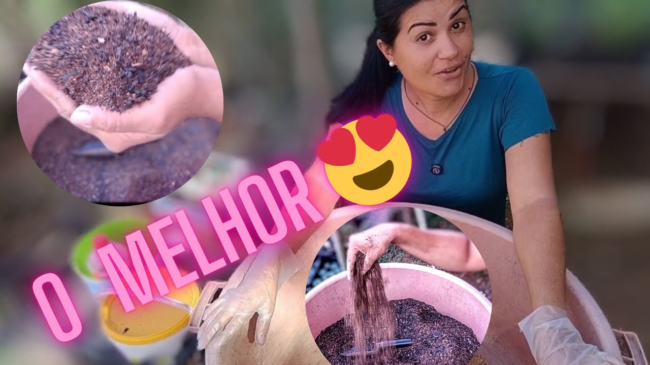 Substrato para Rosa do deserto e suculentas, top demais 😉