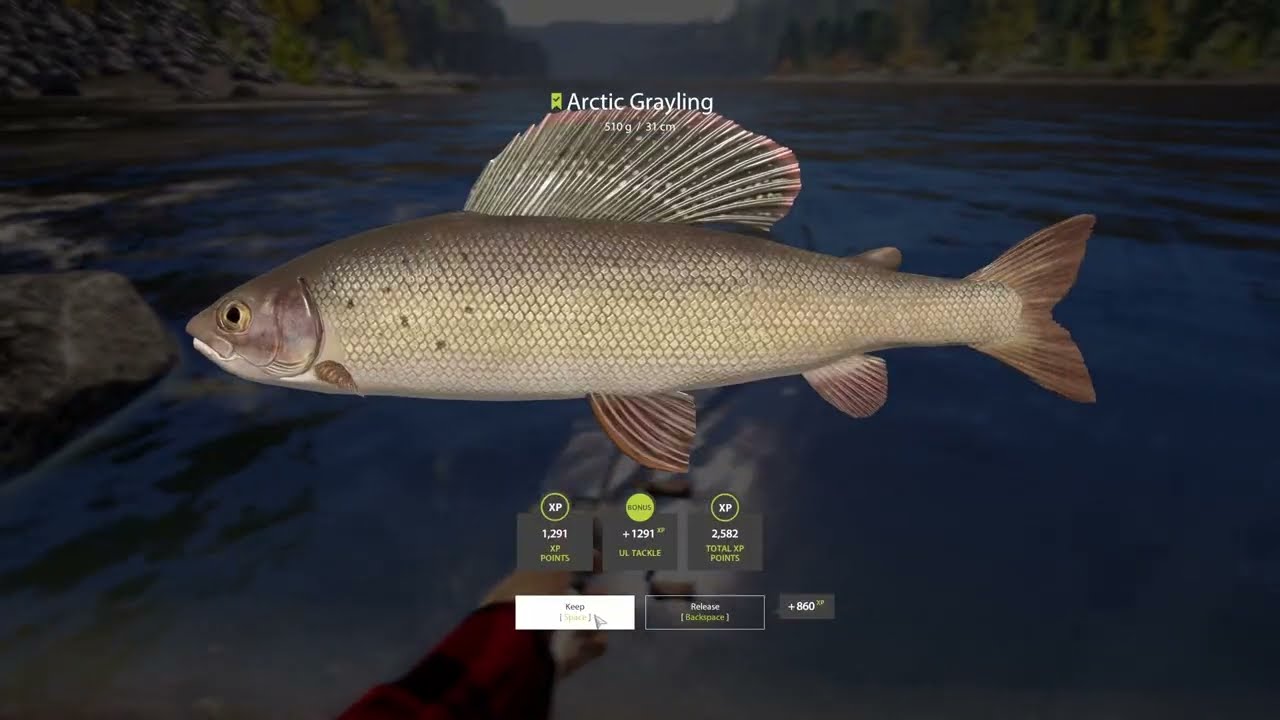 Tunguska River LOG #2 | Russian Fishing 4