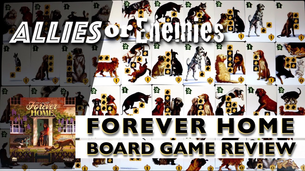 Forever Home - Board Game Review