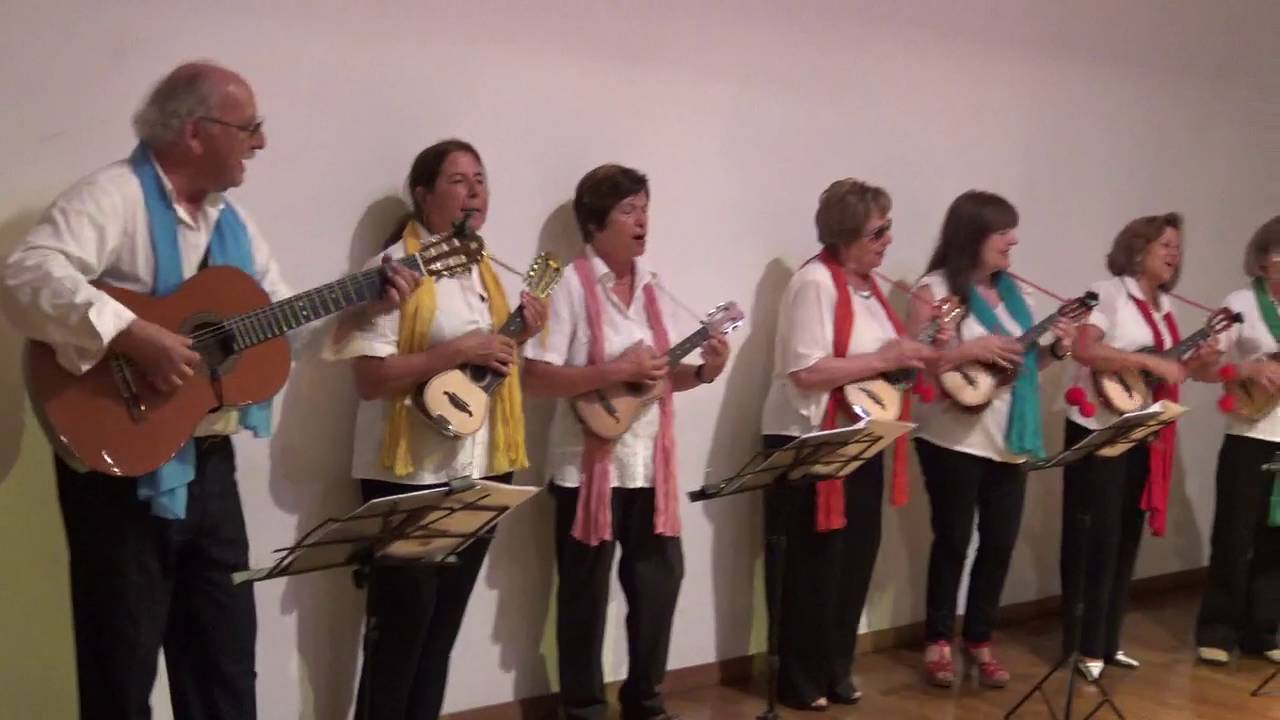 MALHÃO DE CINFÃES