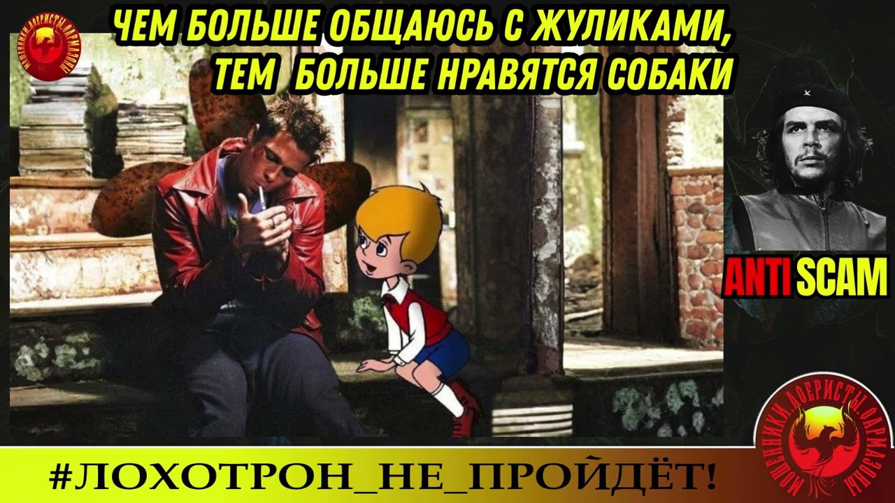 AntiFraud—ЧеКоманданте: чем больше общаюсь с мошенниками, тем больше нравятся собаки