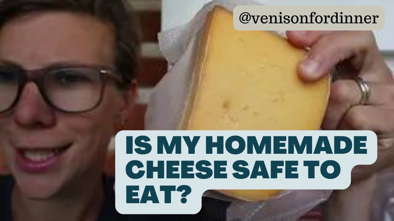 Is My Homemade Cheese Safe To Eat? {How to troubleshoot contamination issues starting with your cow}