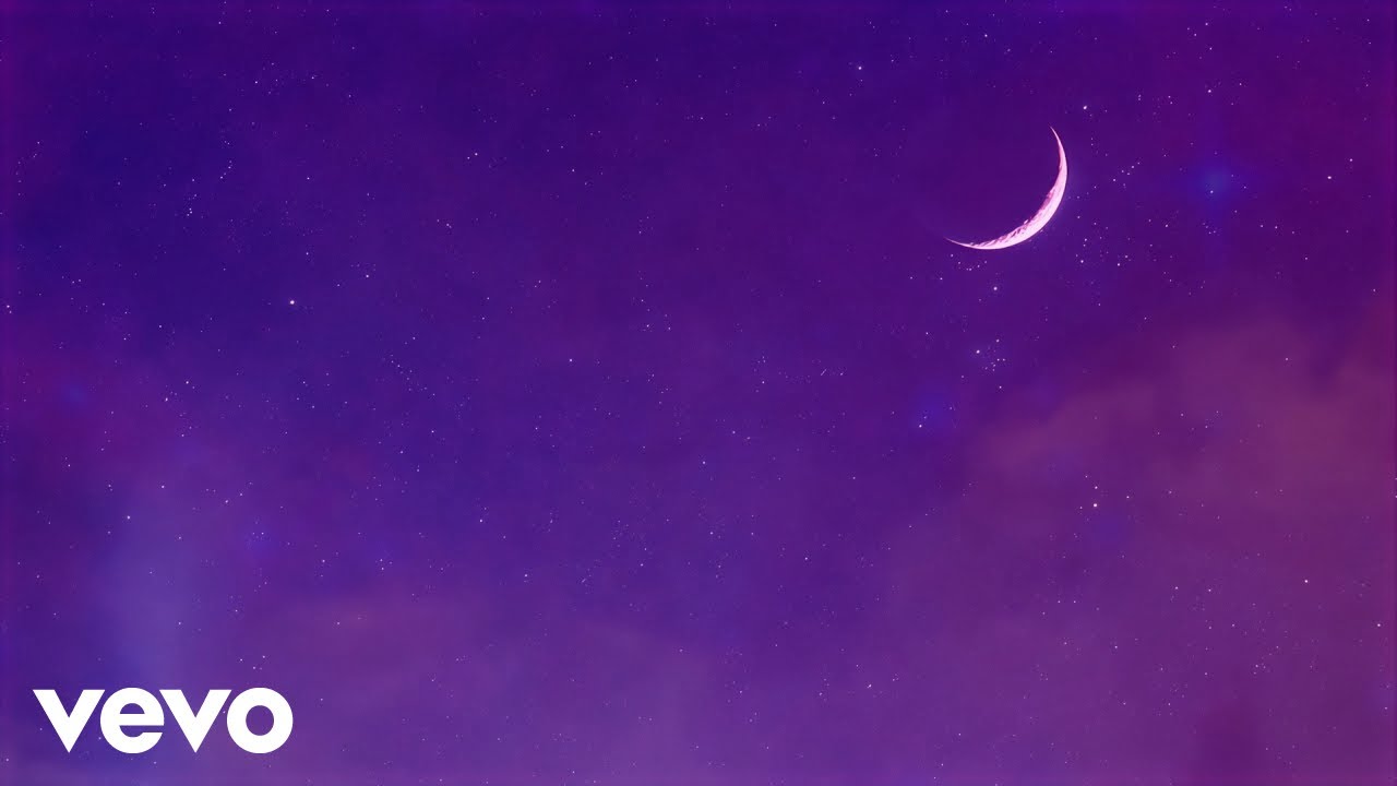 Purple Disco Machine, MORGAN - Can't Stop Loving You (Visualizer)