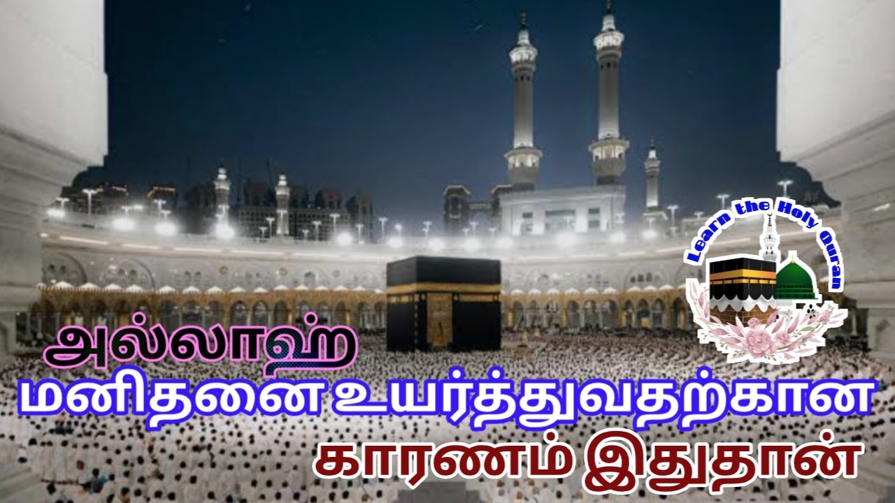 #அல்லாஹ் மனிதனை உயர்த்துவதற்கு காரணம் இதுதான்#LearnTheHolyQuran#