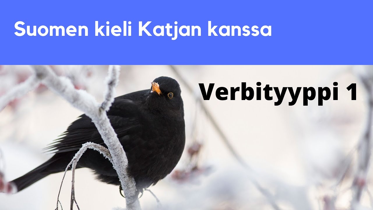 Verbityyppi 1 ja harjoitus | Suomen kieli Katjan kanssa