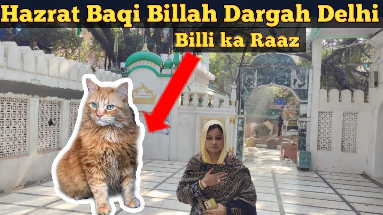 Hazrat Khwaja Baqi Billah Dargah Delhi | khwaja Baqi Billah Mazar Delhi | Delhi Dargah | #dargah