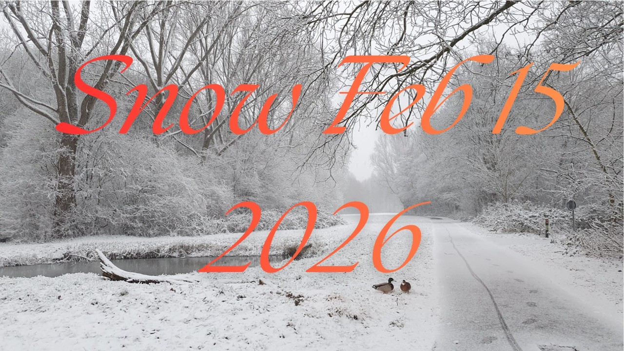 VR180 Driving in snow from start to full coverage