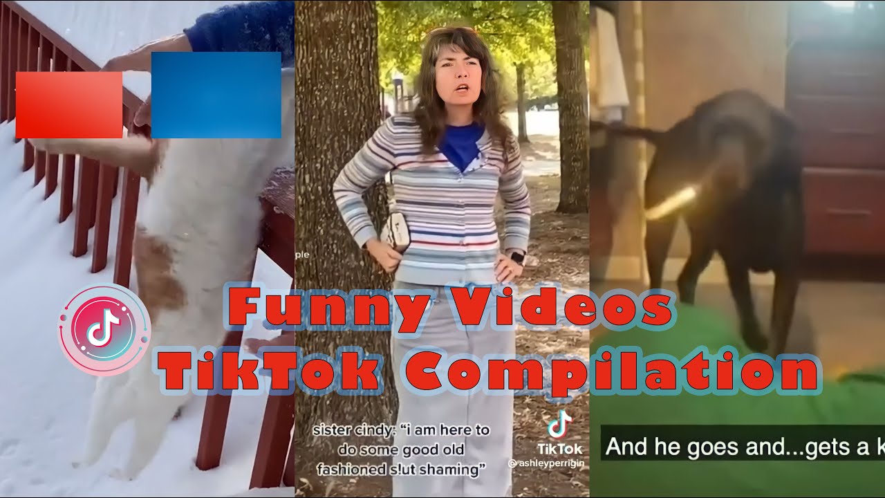 Funny Videos Tiktok Compilation ✨😂 |  Your Tiktok