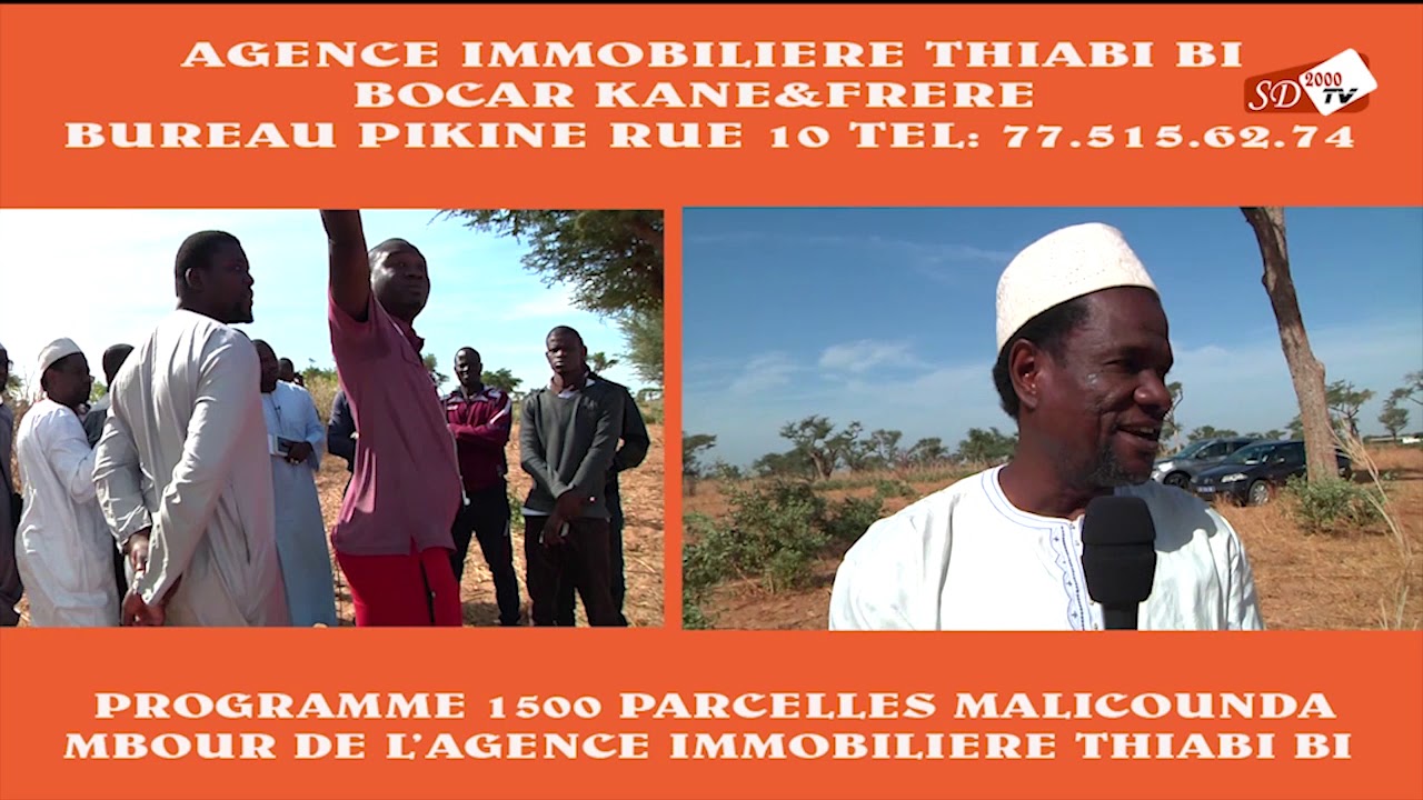 TERRAINS A VENDRE MBOUR PLUS DE 1500 VILLA ZONE MALICOUNDA