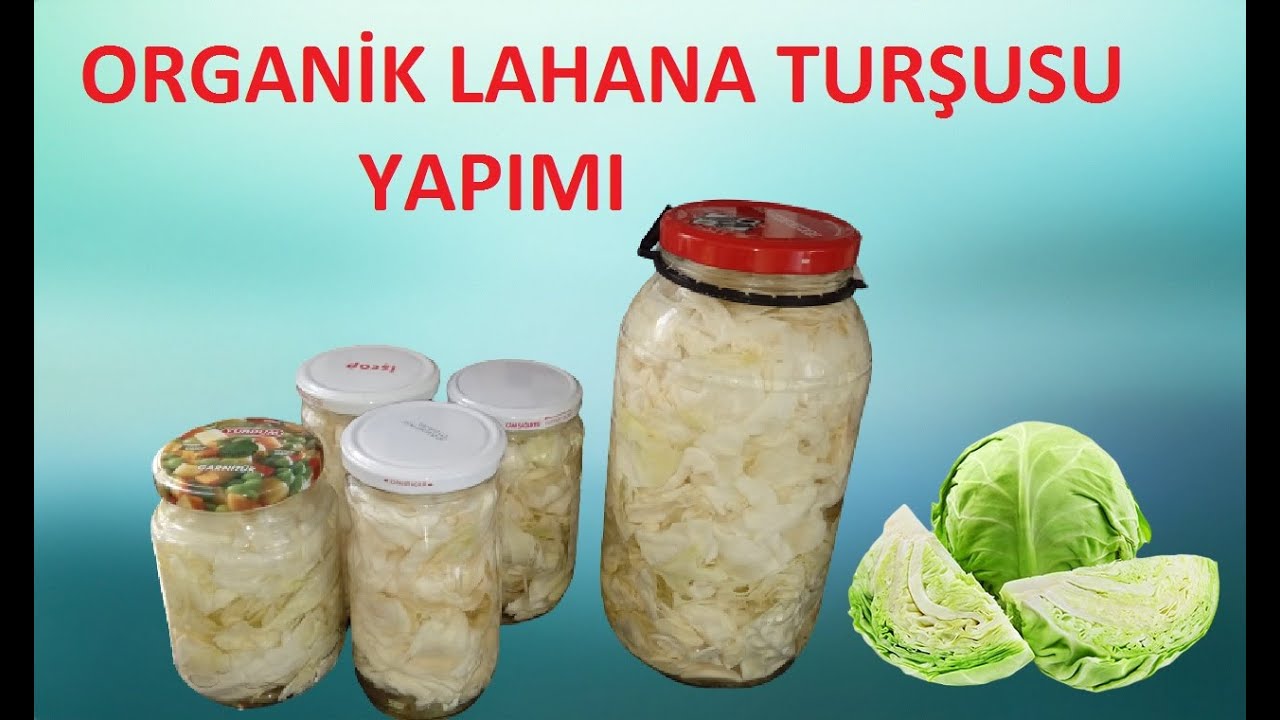 Lahana turşusu nasıl yapılır.Evde kıtır kıtır lahana turşusu yapımı.