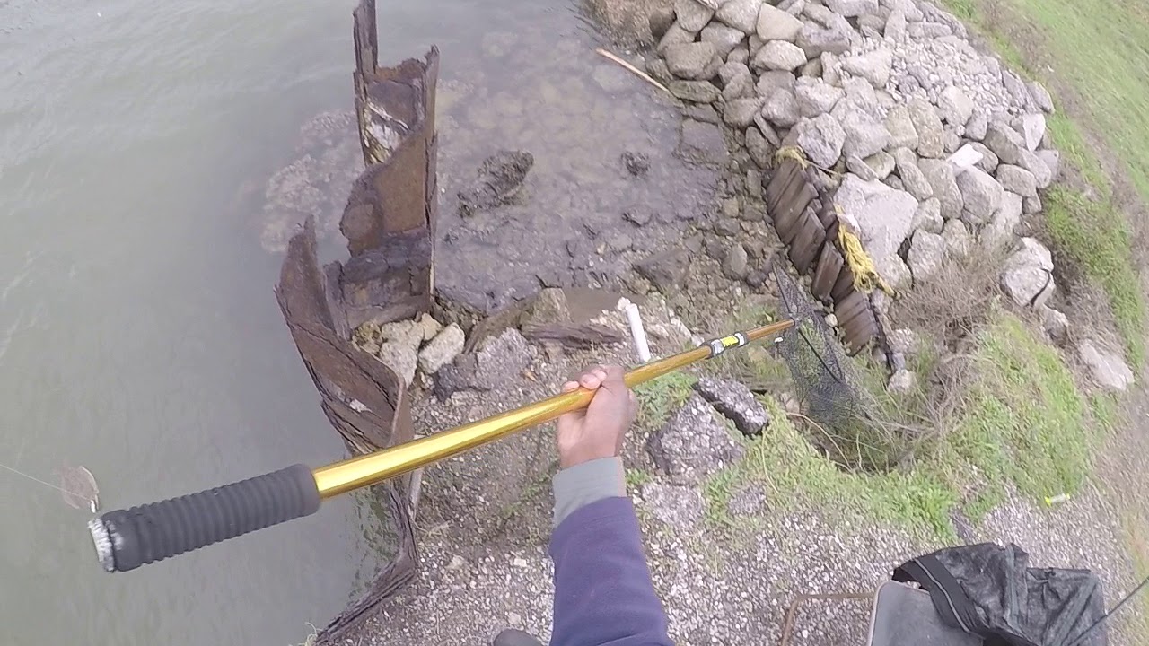 12/13/2018 3rd FLOUNDER CAUGHT WITH FLOAT AND LIVE MULLET