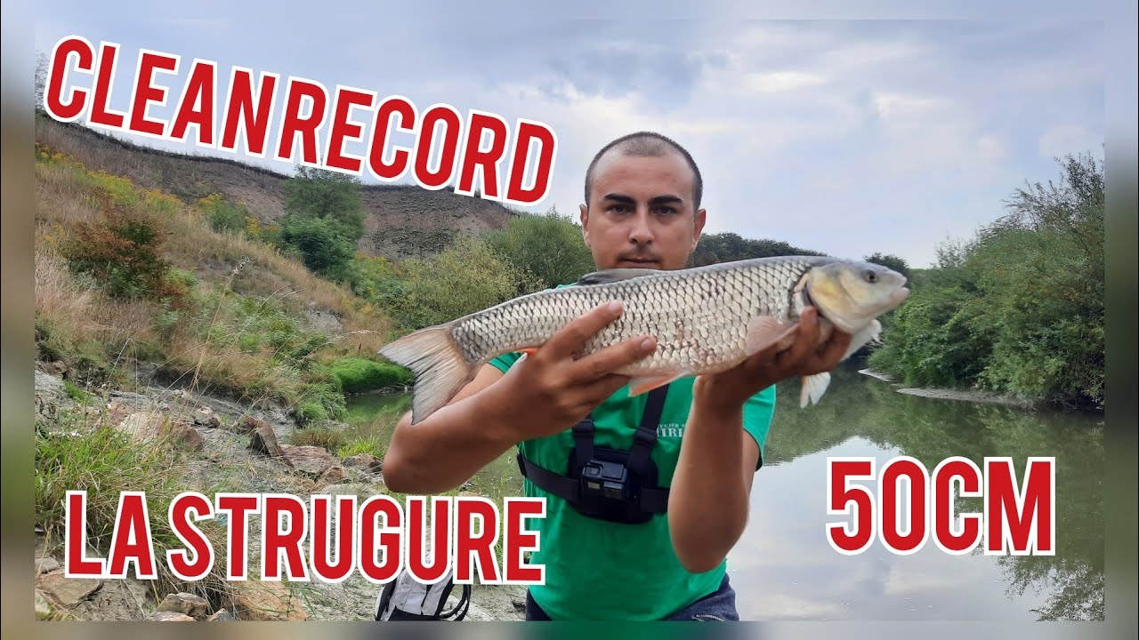 Pescuit la CLEAN- Record personal, CLEAN la bob de strugure