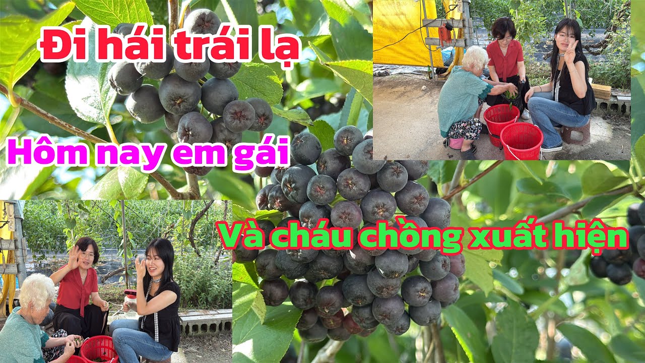 [75] hôm nay em gái và cháu chồng về chơi 