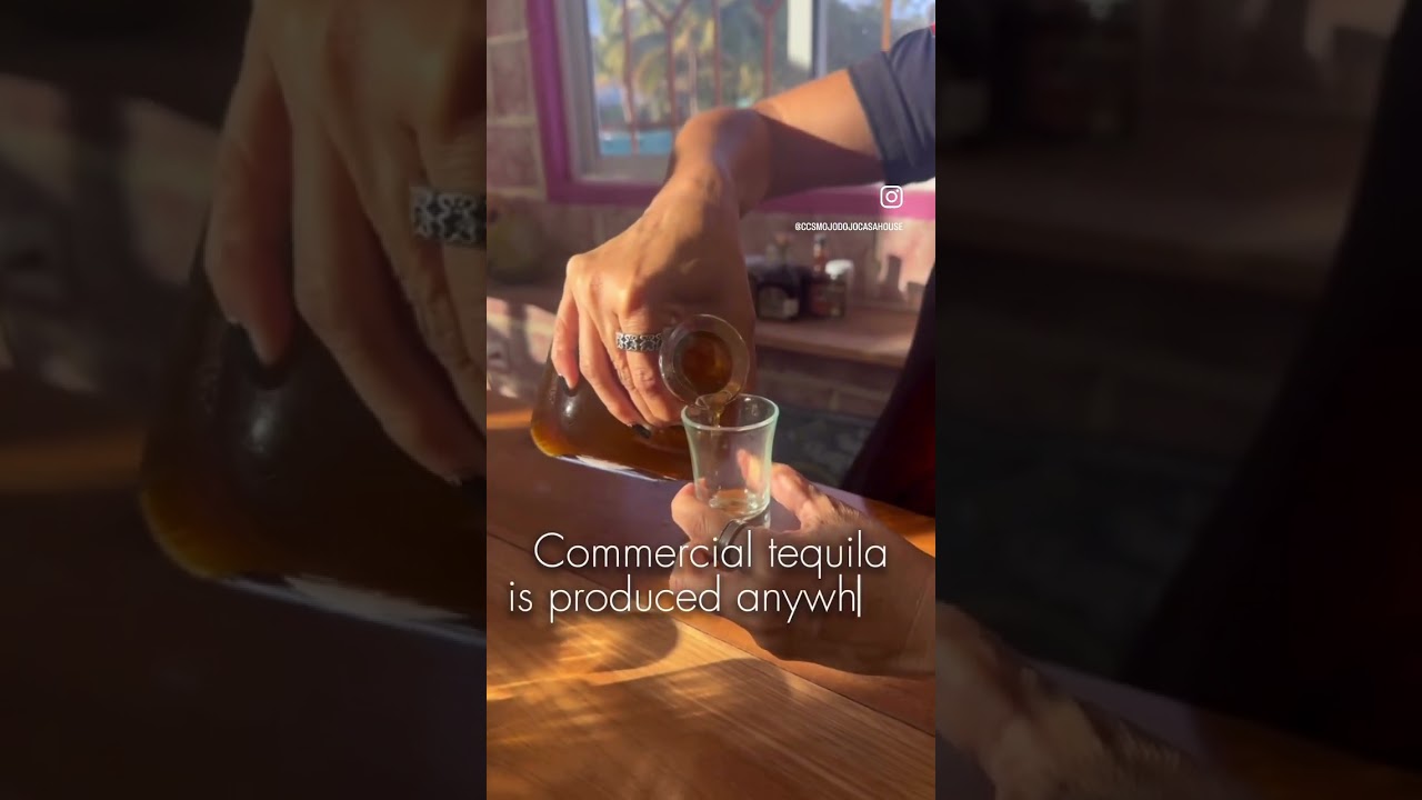 Tequila Tasting in Mahahual