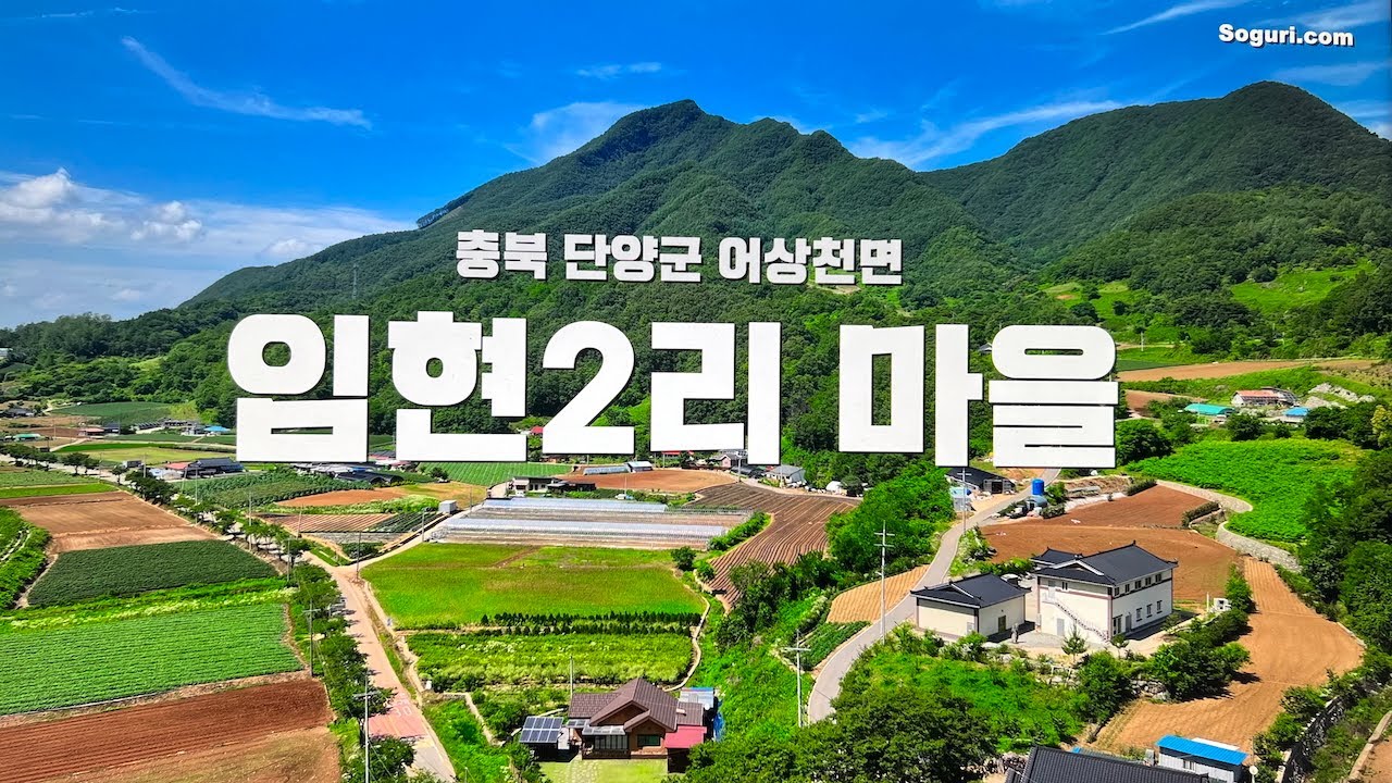 충북 단양군 어상천면 임현리(임현2리) 마을 여름풍경 - 20250629