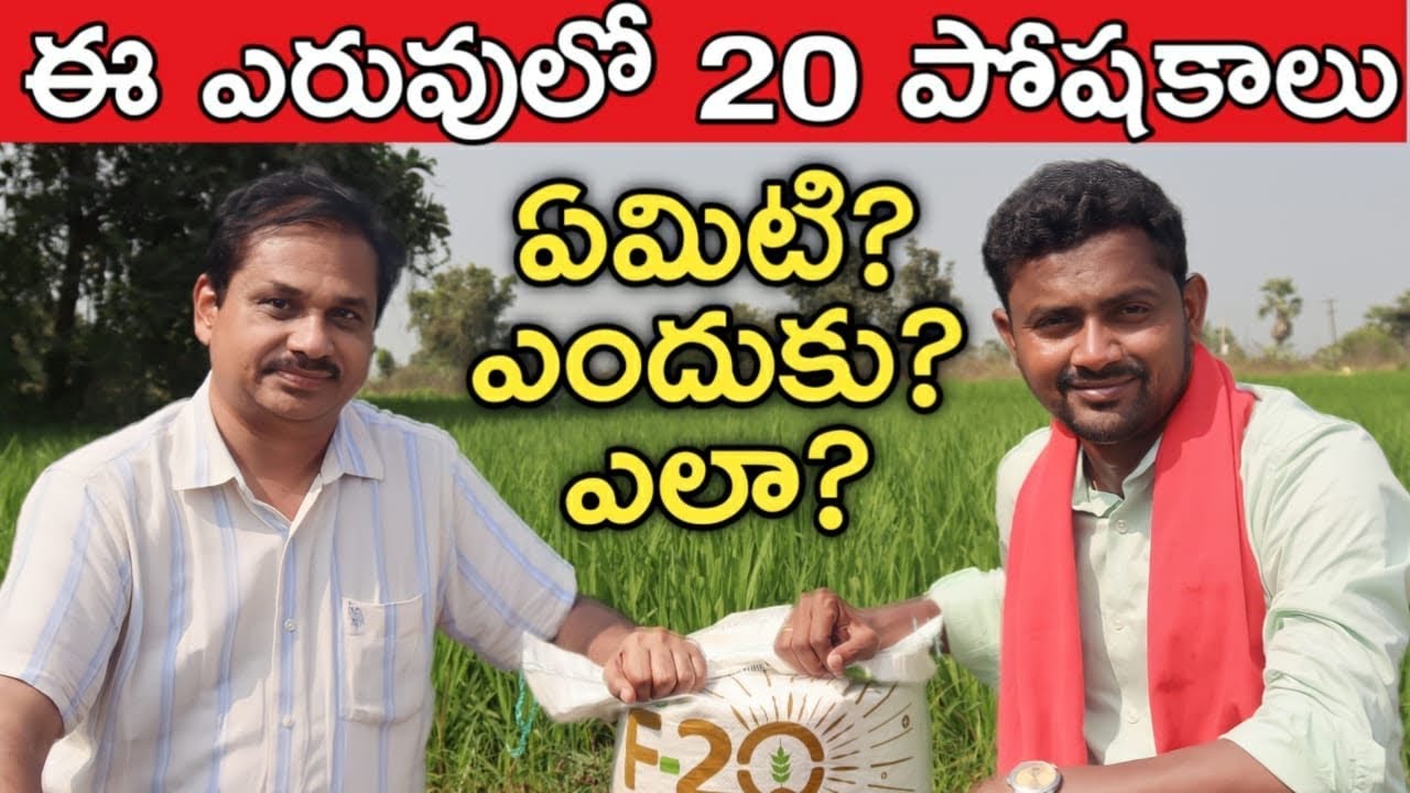 చేనుకు, చెట్టుకు ఏం కావాలి? ఎలా ఇవ్వాలి? | Gromor Fertilizer 20