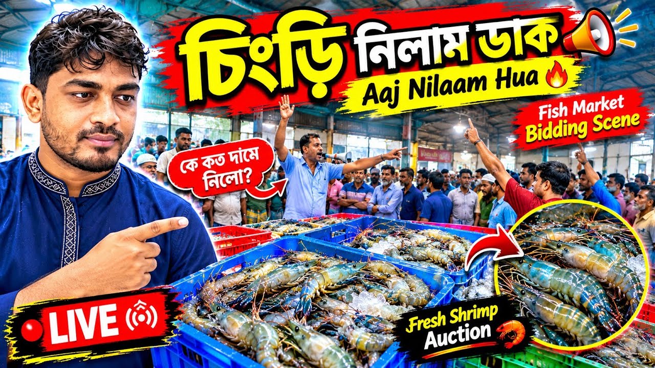 Siful Sk Shrimp BD is LIVE Shrimp#GoldaShrimp #BagdaShrimp #BeleFish #Seafood #LiveFishMarket