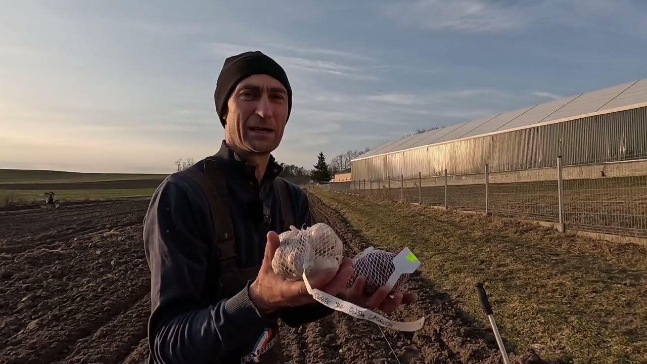 CHYBA ZWARIOWAŁEM PIERWSZE WYSIEWY I WYSADZENIA W OGRODZIE 
