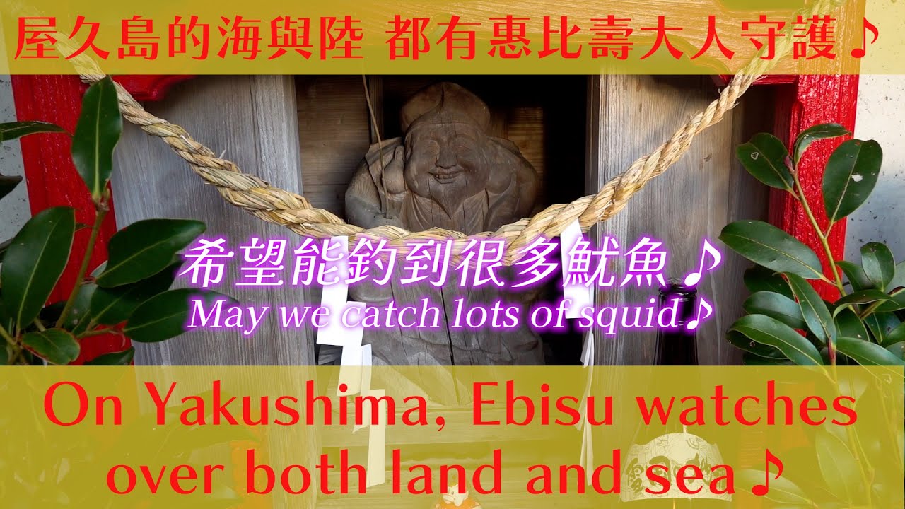 貼身記錄傳統祭典！屋久島竟然有兩位「惠比壽神」？！Up Close with a Traditional Festival! Does Yakushima Have Two Ebisu Gods?!