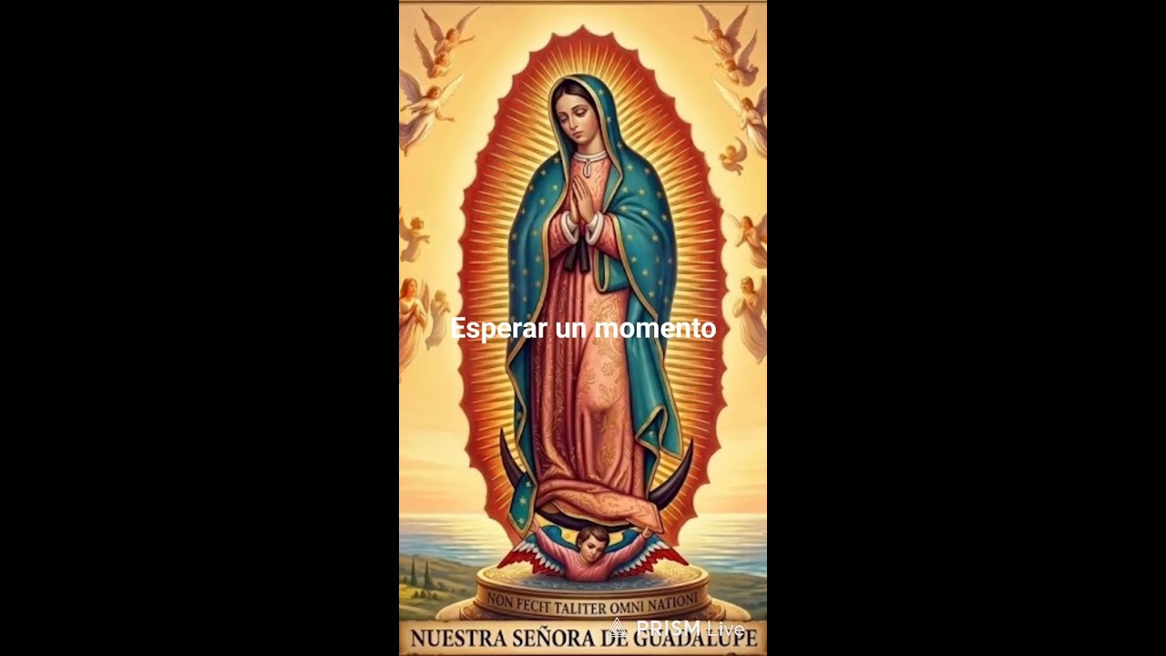 ROSARIO SANTO ROSARIO VIRGEN DE GUADALUPE #ORACION #VIRGEN #GUADALUPANA