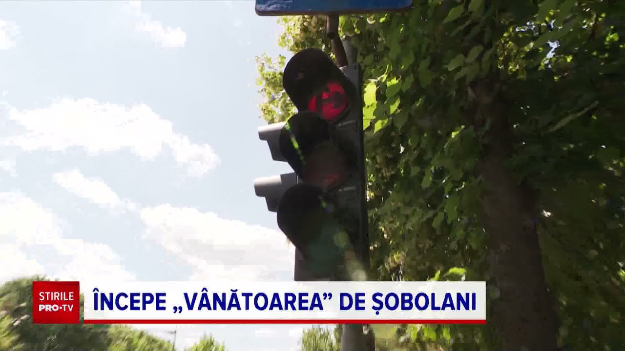 A început vânătoarea de șobolani în București. Ploaia încurcă planurile primăriei
