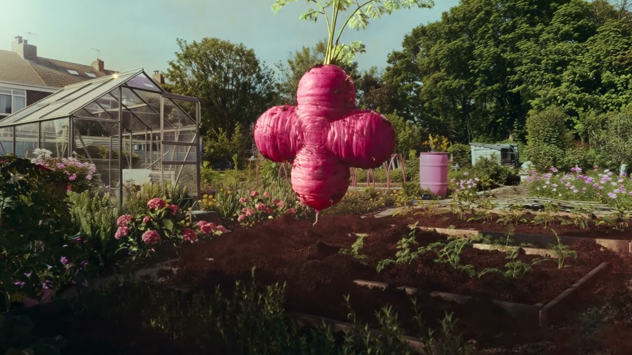 Carrot Watch - Plusnet