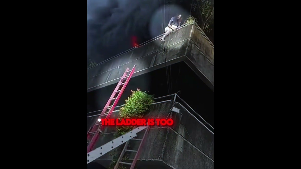 She Threw Her Dog To Save It From The Fire 😭💔