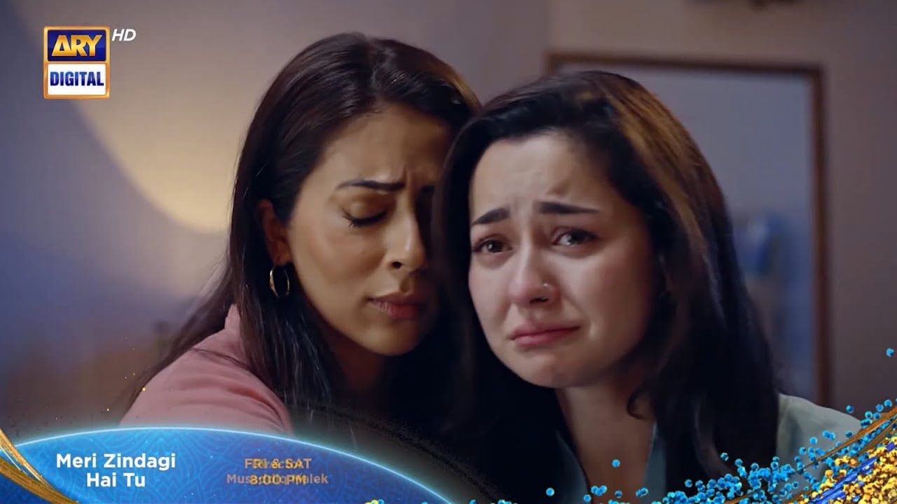 Meri Zindagi Hai Tu Episode 25 Promo | Episode 25 Teaser | Review | Hania Aamir