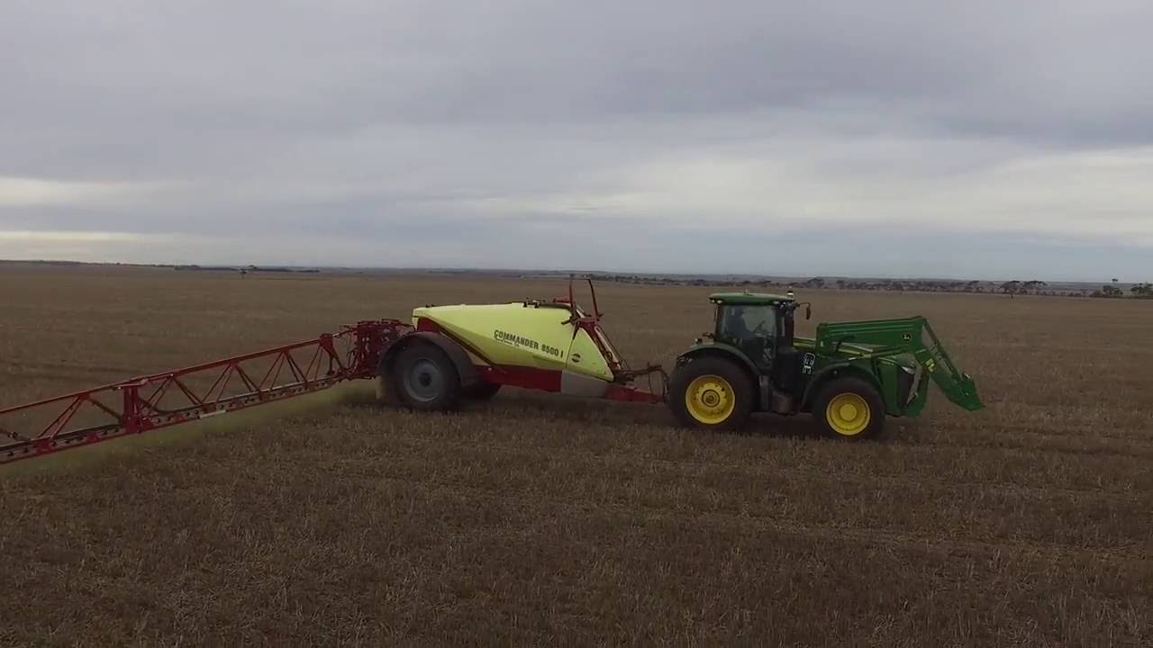 SEEDING 2016 BROOMFIELD BLACK ANGUS