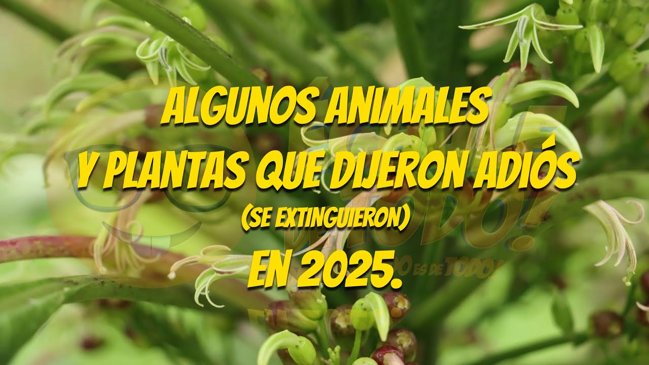 Algunos Animales y Plantas que dijeron Adiós este 2025. ☹️ - 🤓 Échale De Todo.