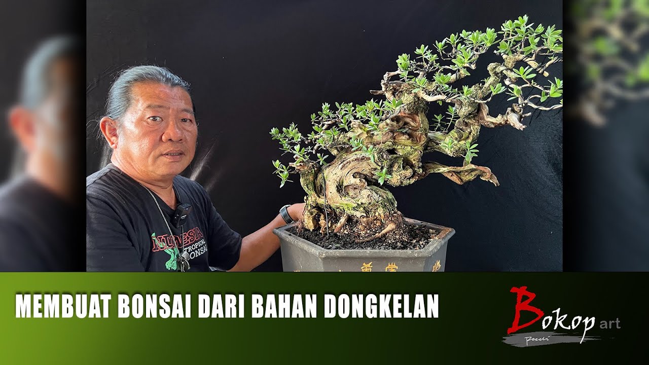 MEMBUAT BONSAI DARI BAHAN DONGKELAN