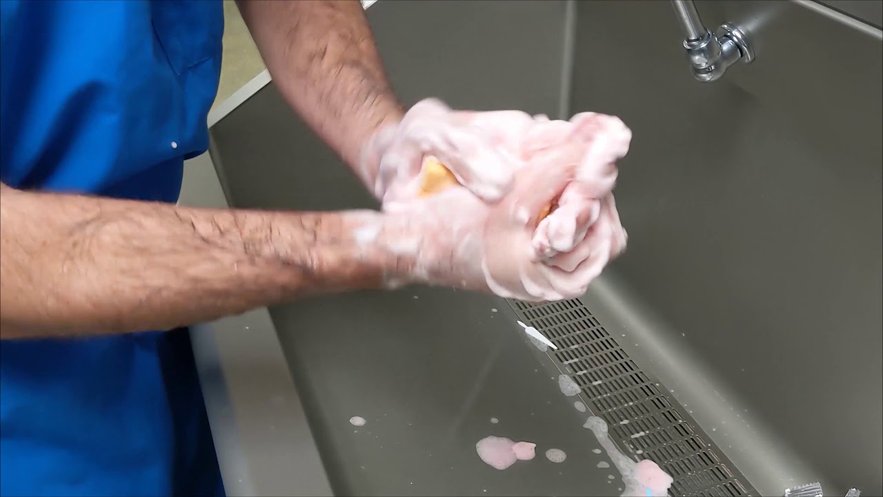 Surgeon Sterile Scrub - Basics of Veterinary Surgery