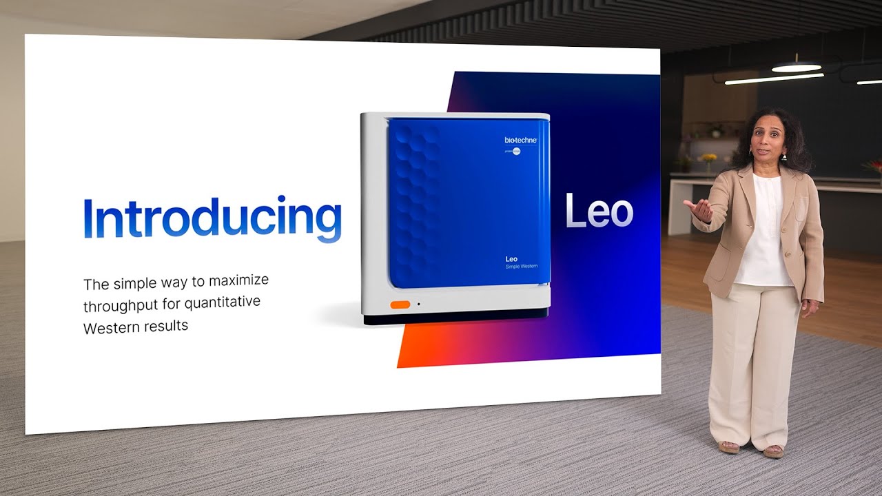 Witness The Revolution: Introducing Leo, the Next Leap in Simple Western Technology