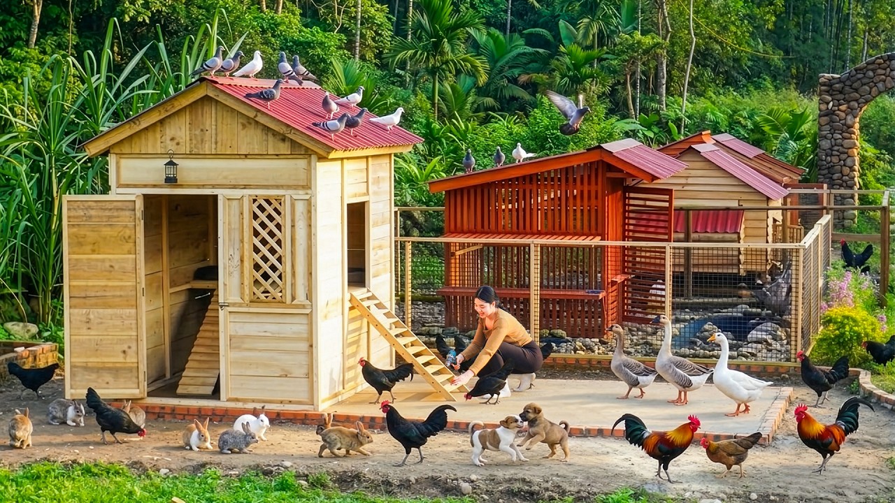 DIY Wooden Chicken Coop for Raising and Domestication of Wild Jungle Chickens