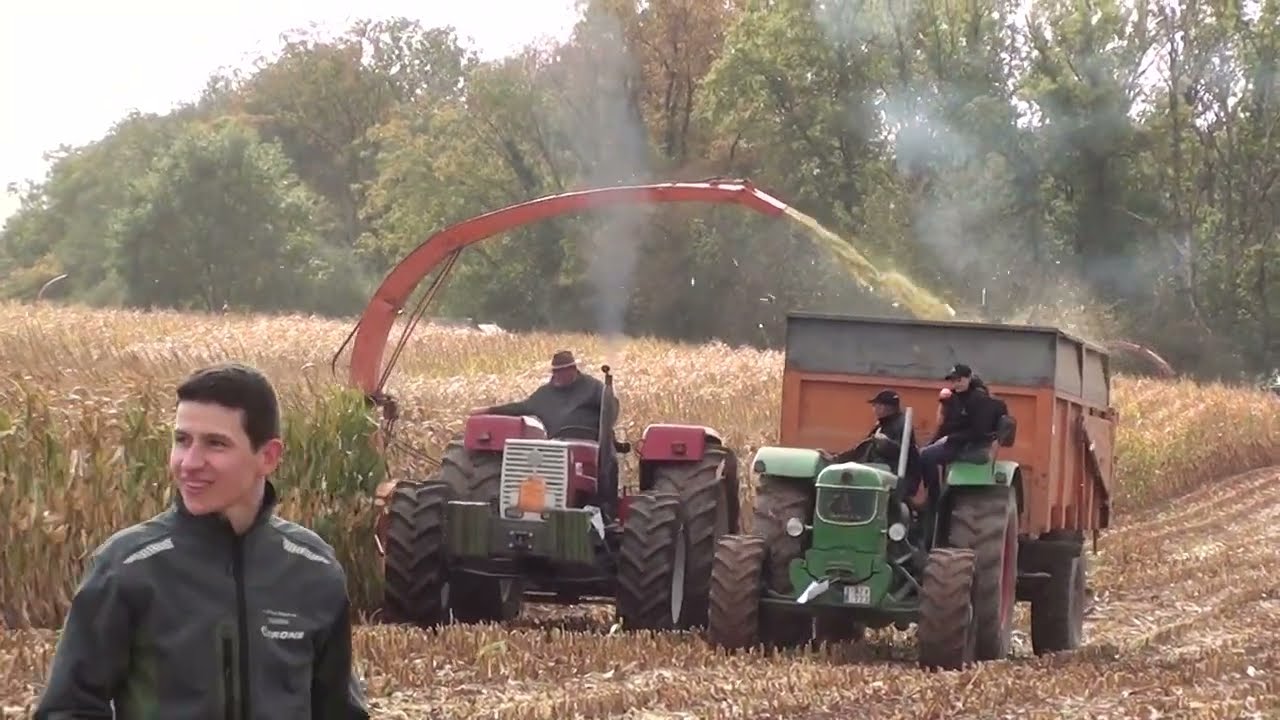 Ensilage à l'Ancienne - Biesme-sous-Thuin 2025 - Hesston 7680 S - Bodini 3-rangs