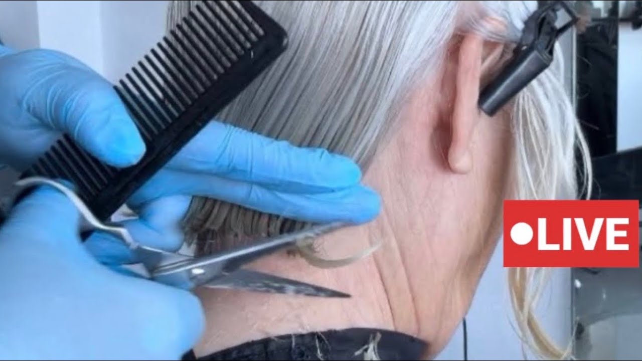 STUNNING Haircuts by Vivyan Hair Design! 💜✨🤩 #haircut #hairstyle #shorthair #longhair #hairtutorial