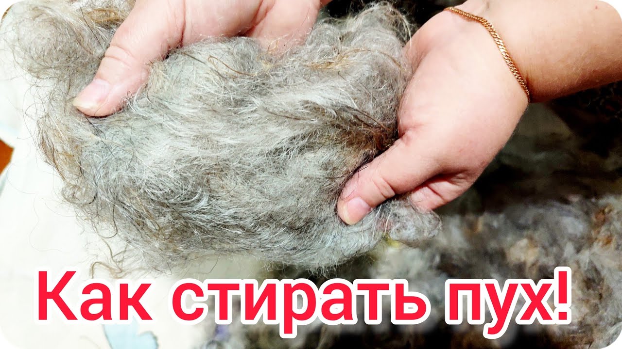 Как стирать козий пух чтобы он не свалялся.   #вязание