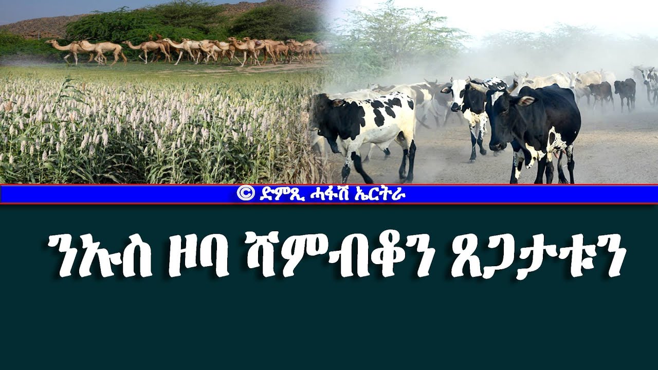 ንኡስ ዞባ ሻምብቆን ጸጋታቱን-DimTsi Hafash Eritrea/ድምጺ ሓፋሽ ኤርትራ