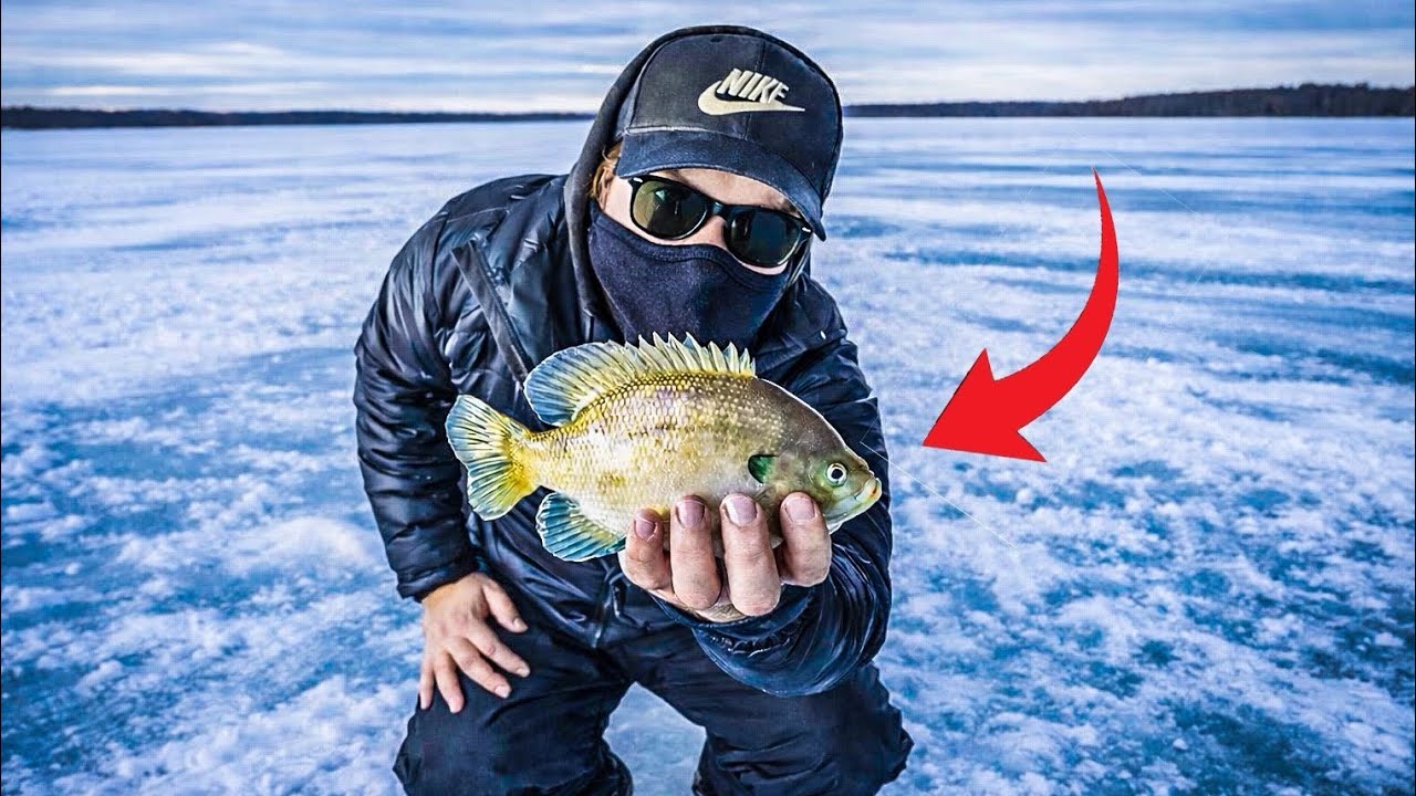 MONSTER Bluegill Were LOADED In This Southeast Minnesota lake! (late ice slabs)