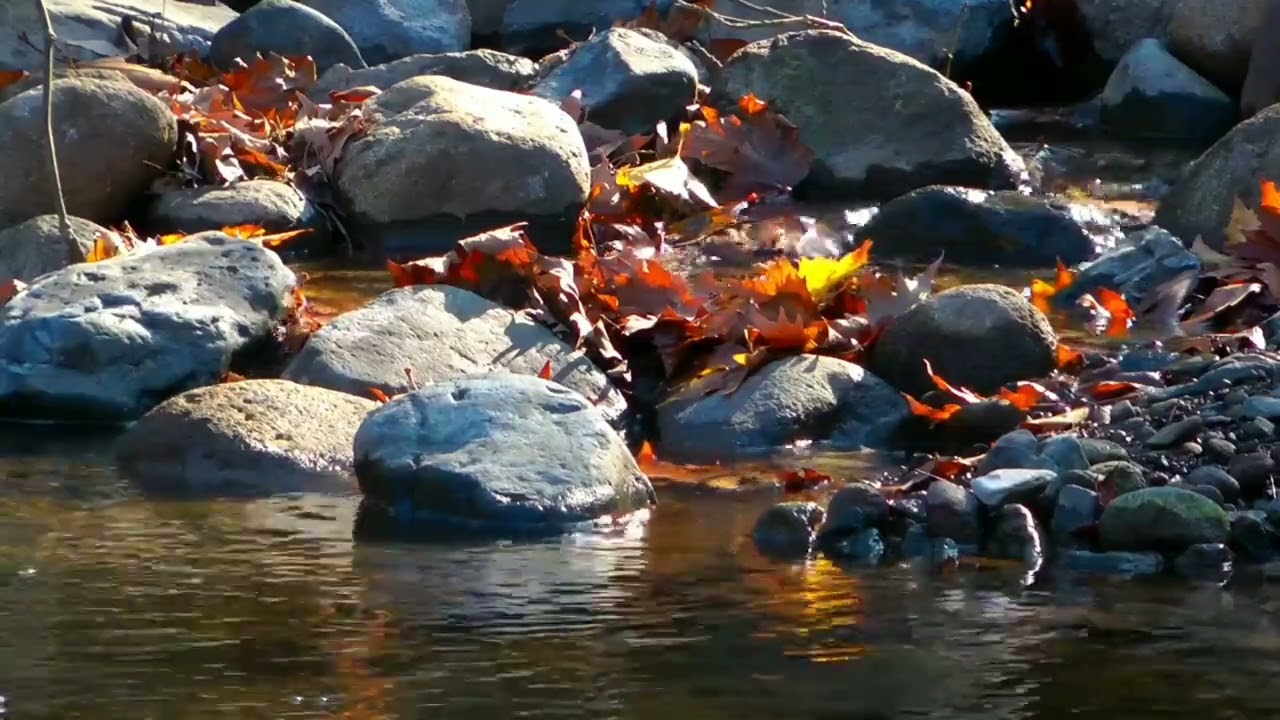 autumn river nature sounds, soothing sounds for brain and mind relaxation